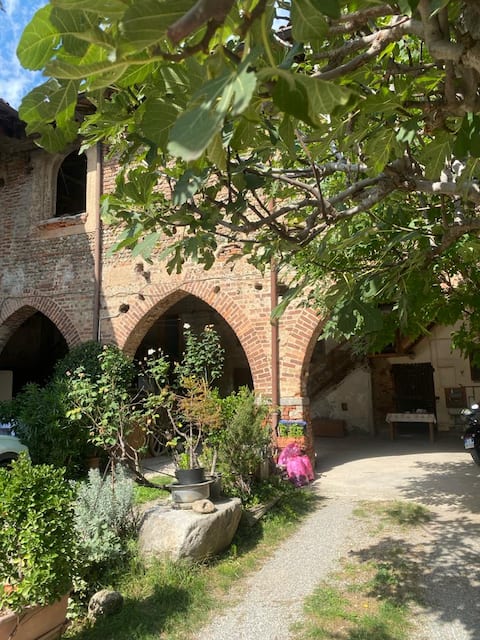 A blast from the Middle Ages