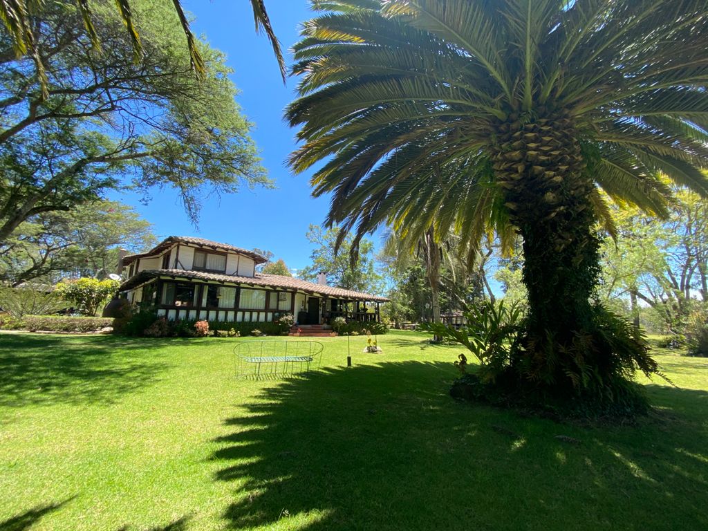 A spacious lawn surrounded by lush greenery features a large palm tree. A two-story house with wooden accents and expansive windows is positioned amidst the trees, allowing natural light to filter through the environment.
