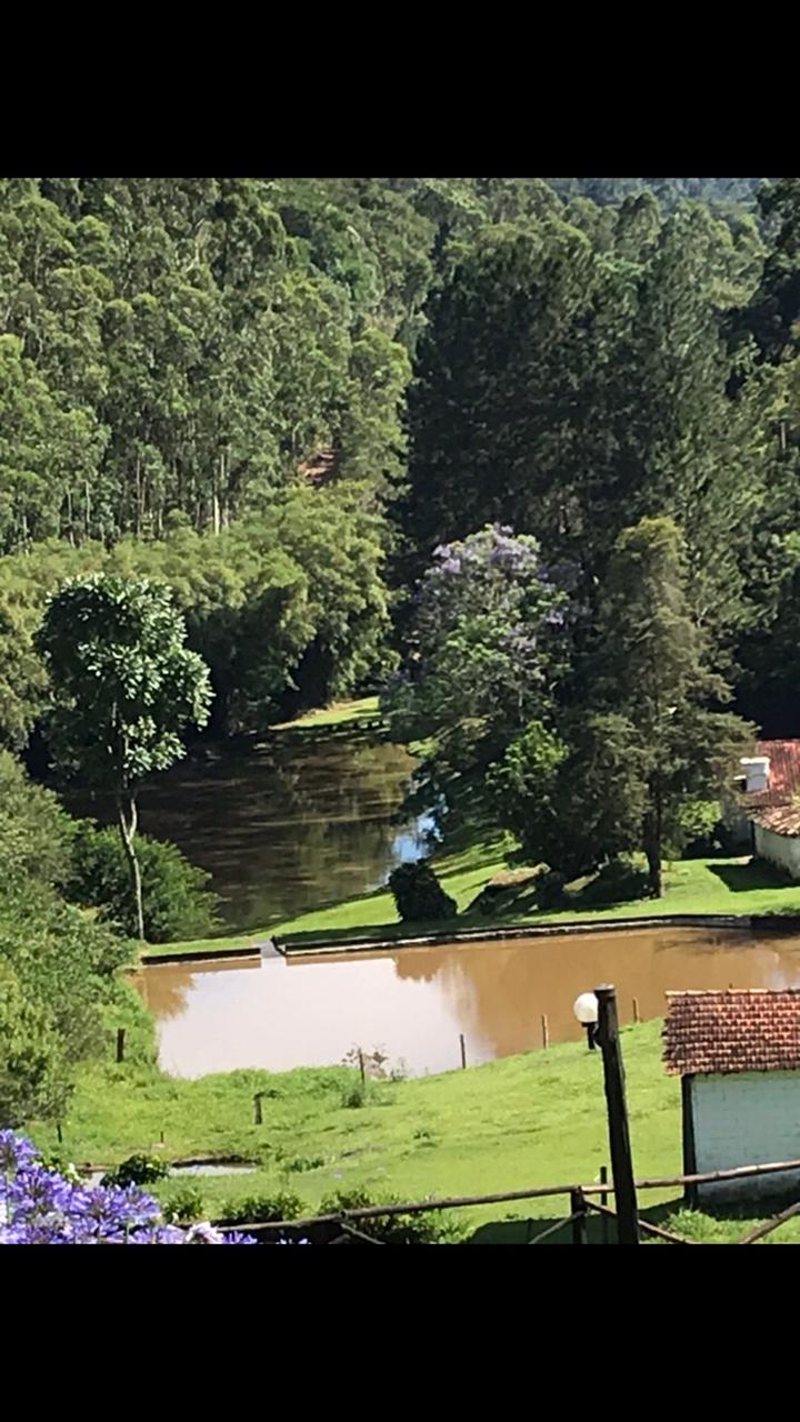 The image captures a serene landscape featuring a winding river surrounded by lush greenery and dense trees. Soft hills rise in the background, with a glimpse of vibrant purple flowers and other foliage. The calm water reflects the natural surroundings, creating a tranquil setting.