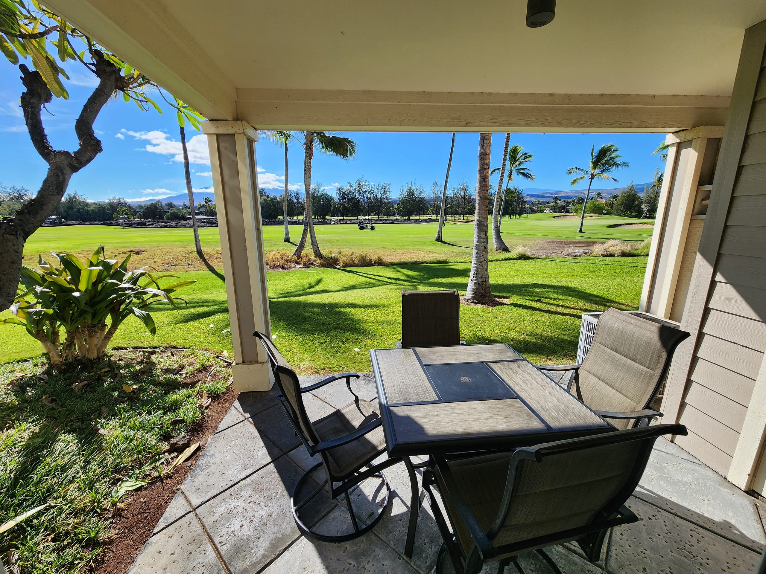 Fairway Villas D2 Waikoloa Beach Resort 1st Floor - Photo 22