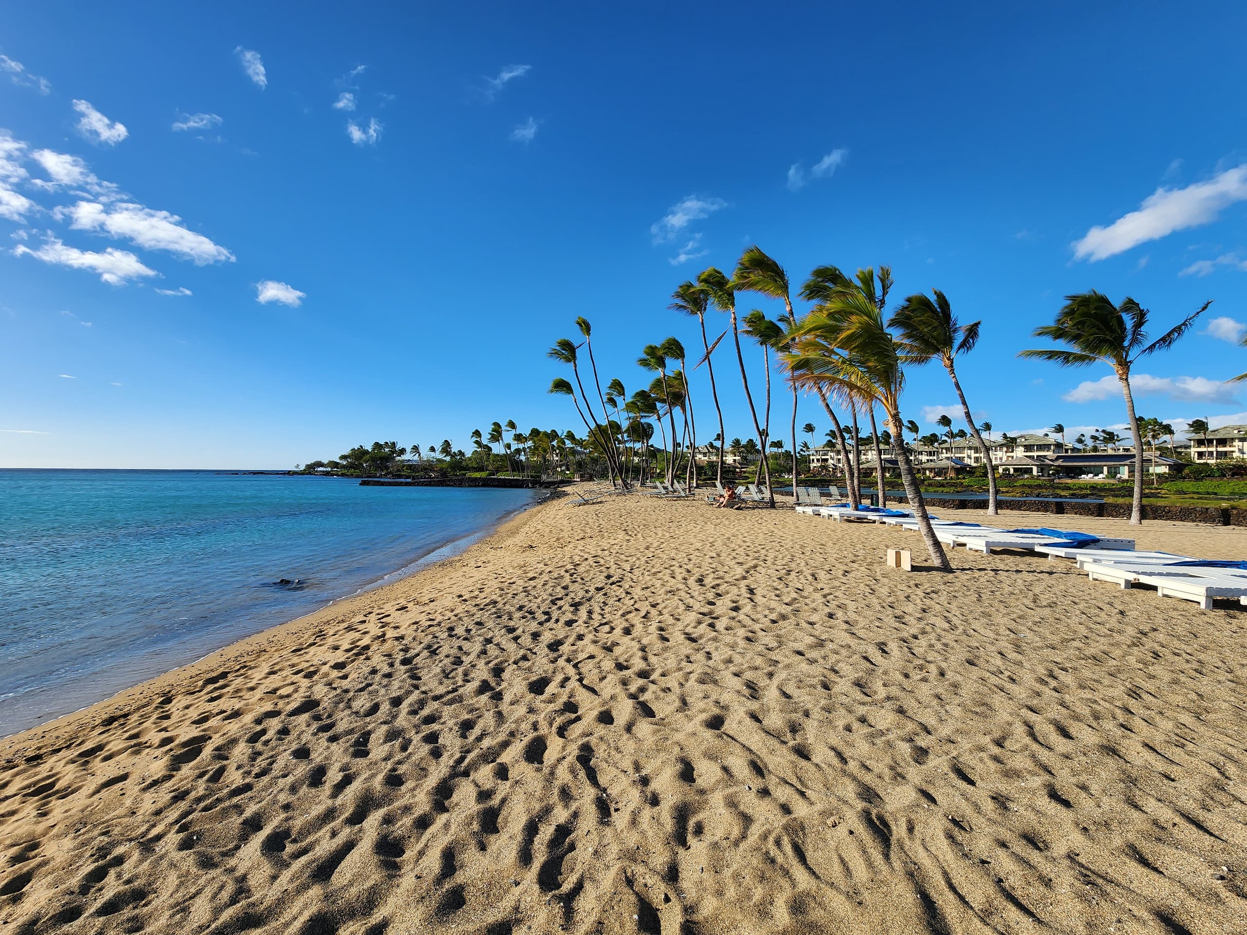 Fairway Villas D2 Waikoloa Beach Resort 1st Floor - Photo 43