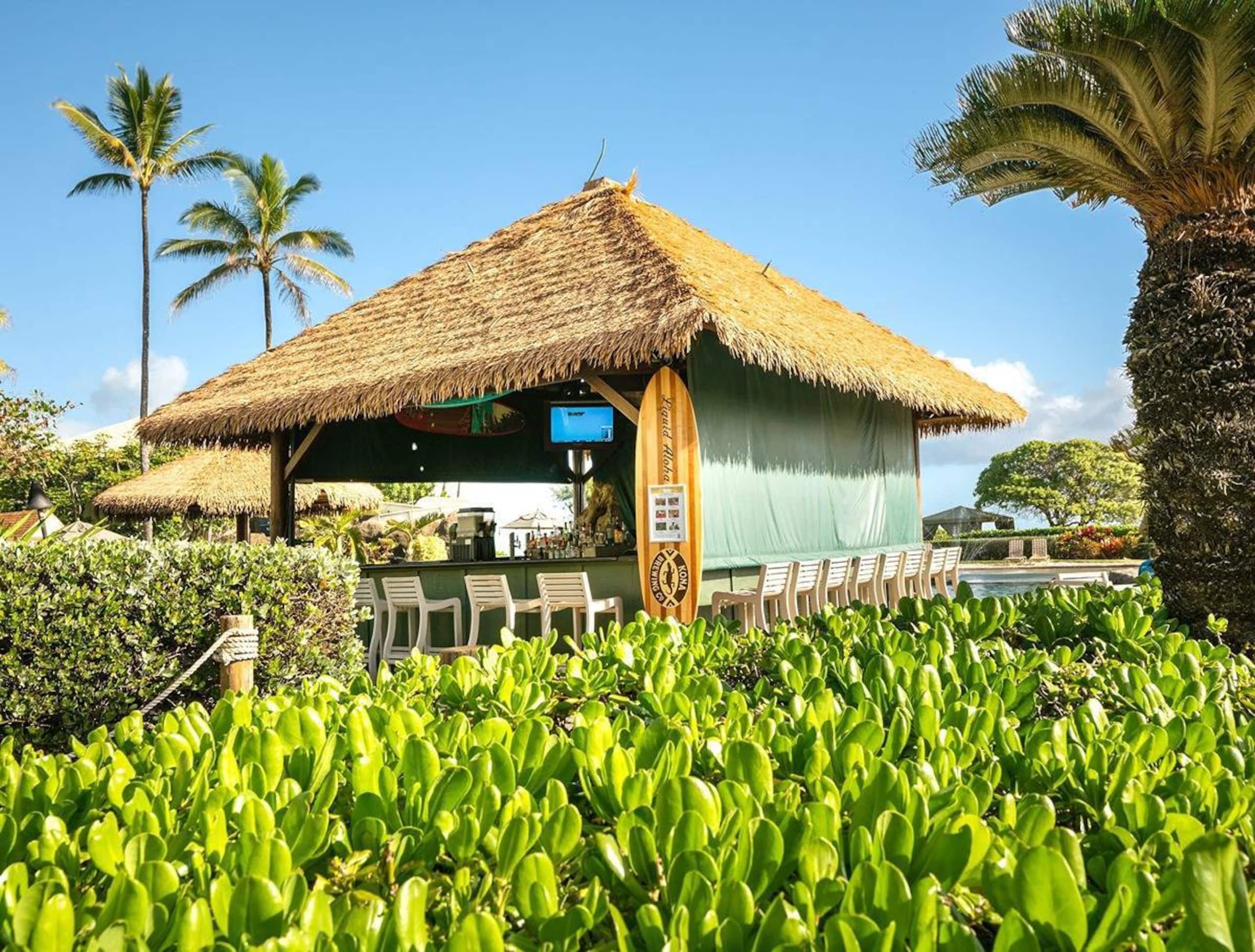 Resort in Lihue · ★4.89 · 1 bedroom · 1 bed · 1 private bath - Image 49