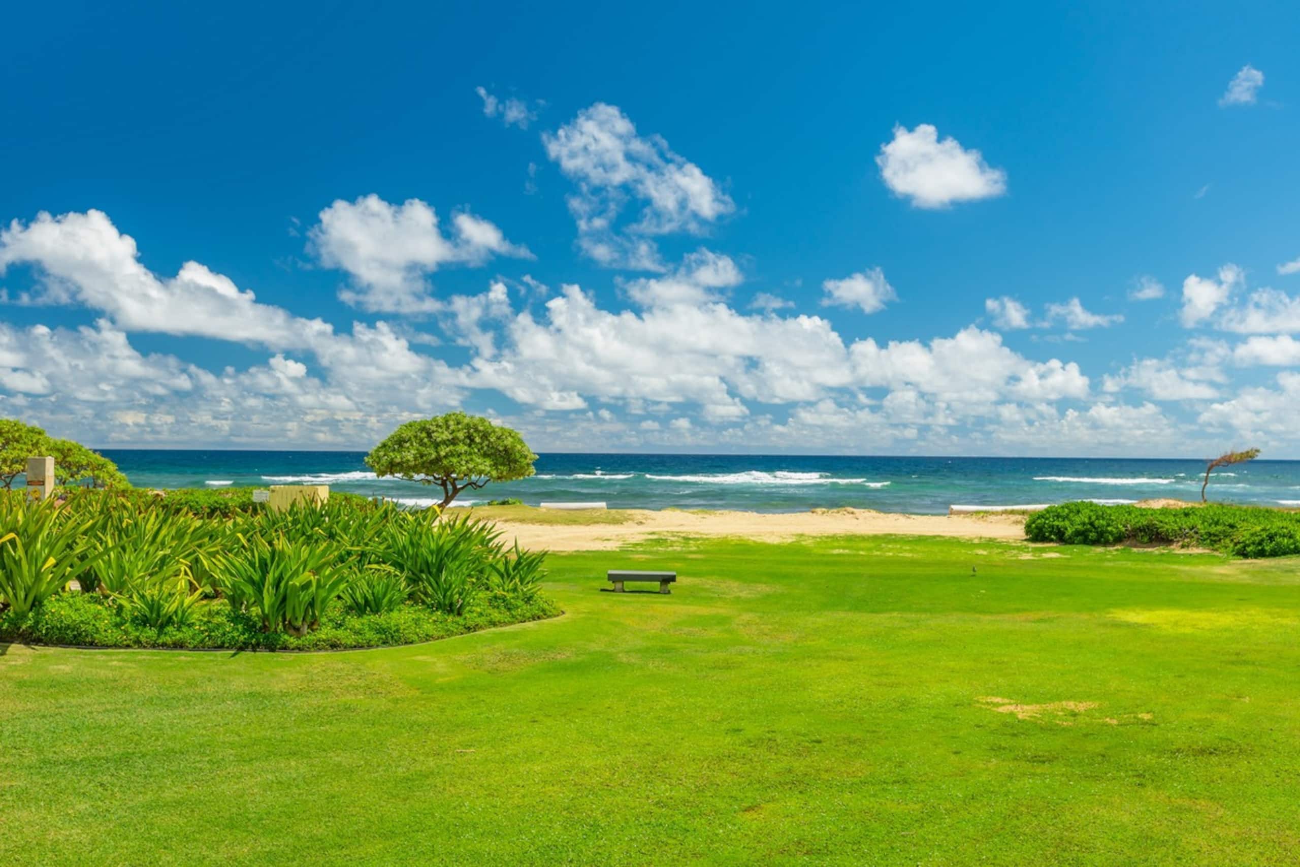 Resort in Lihue · ★4.89 · 1 bedroom · 1 bed · 1 private bath - Image 20