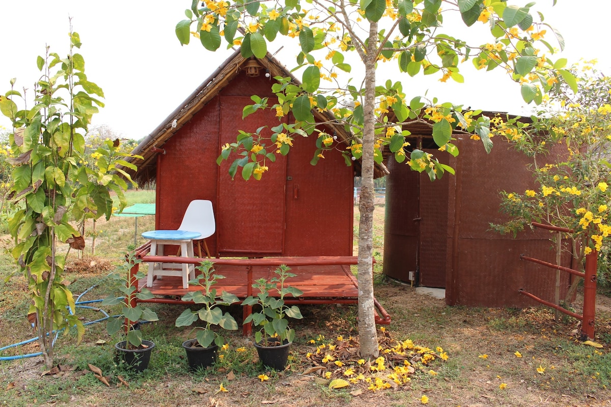 A rustic red hut is surrounded by nature, featuring a wooden deck with a single chair. Potted plants are positioned nearby, with a tree providing shade. Bright yellow flowers bloom around the area, adding a vibrant touch to the serene outdoor setting.