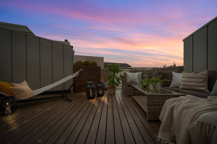 Penthouse with private rooftop