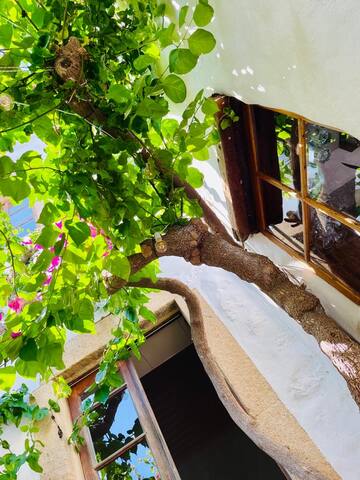 Amazing house in the heart of Skala, Patmos gallery image 4