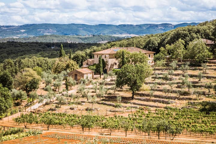 Villa and organic farm in Monteriggioni, Tuscany