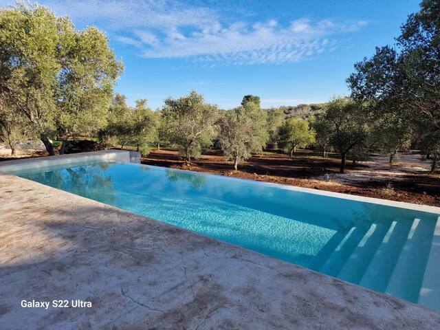 Villa Schoner – private pool gallery image 2