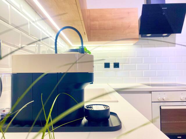 Eleven Elysium #URBN gallery image 5