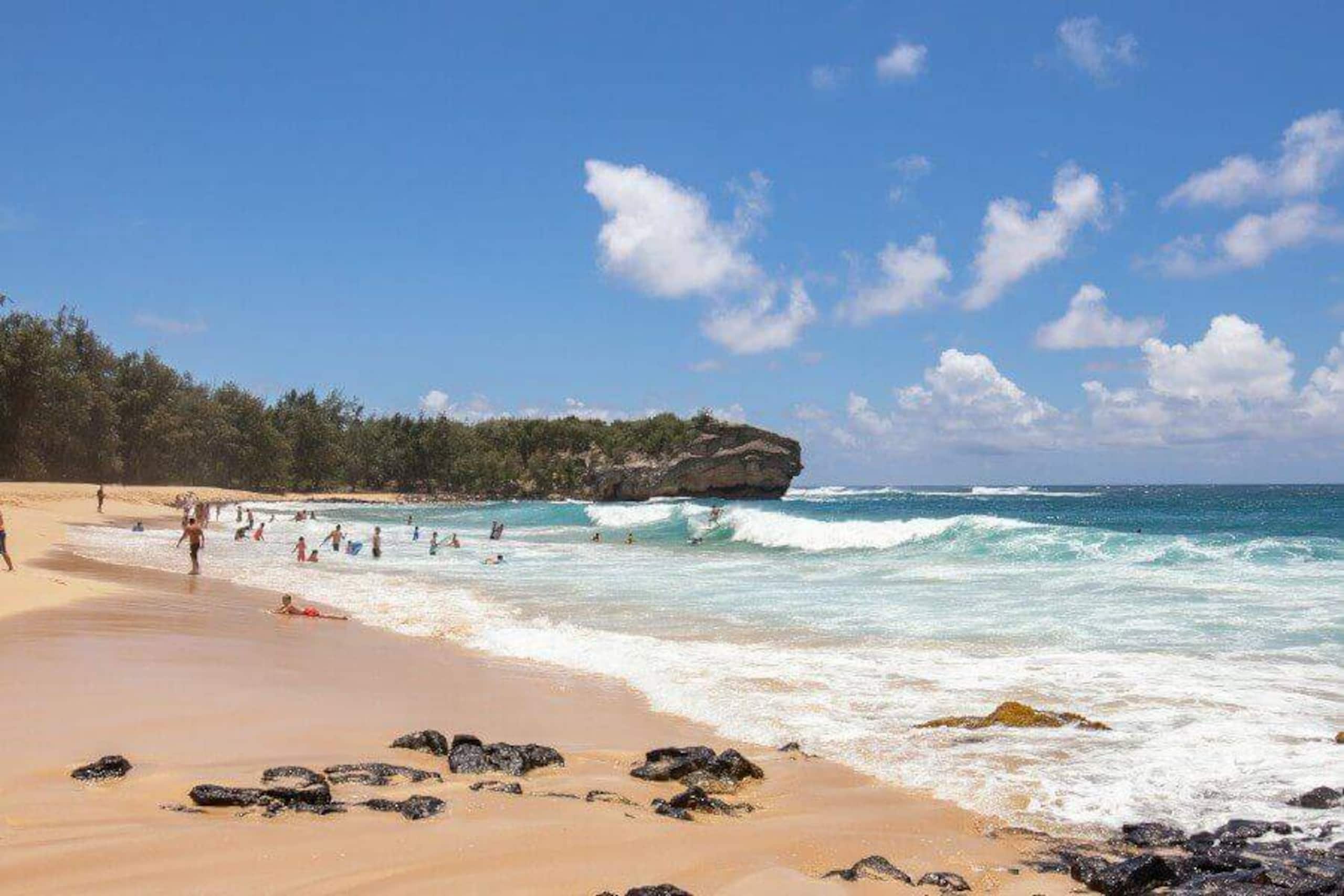 Condo in Koloa · ★4.99 · 1 bedroom · 2 beds · 1 bath - Photo 43