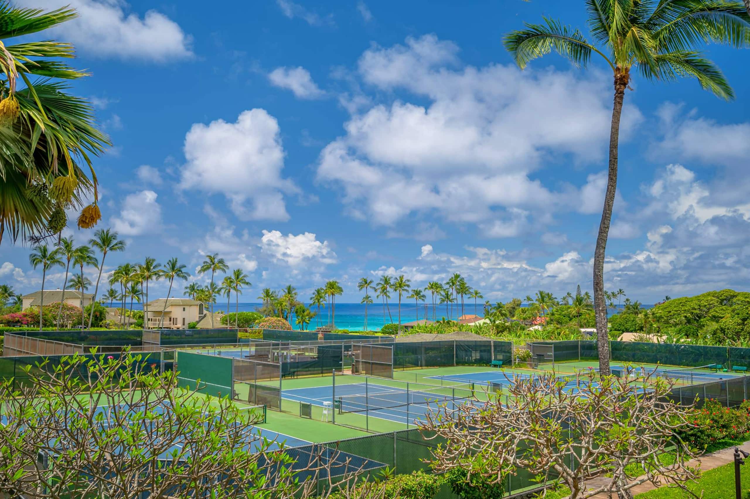 Condo in Koloa · ★4.99 · 1 bedroom · 2 beds · 1 bath - Photo 49