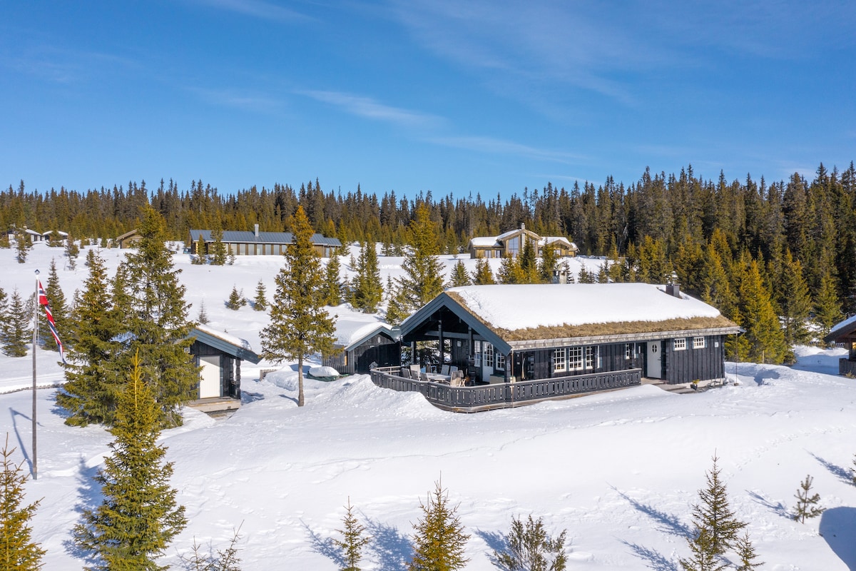 A winter landscape features a black wooden cabin with a grass-covered roof, surrounded by snow and coniferous trees. An annex can be seen nearby, and the area is marked by a clear blue sky, emphasizing the tranquil setting.