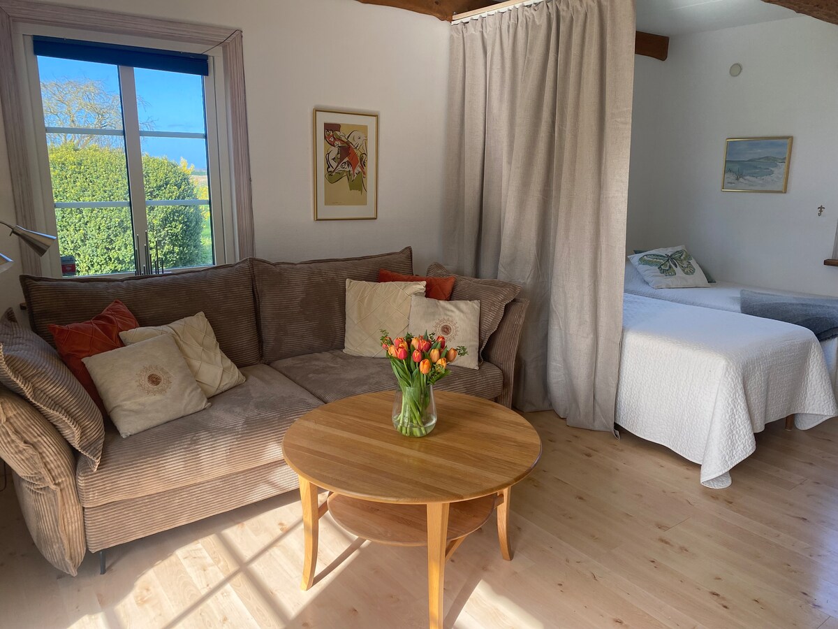 მისაღები ოთახი