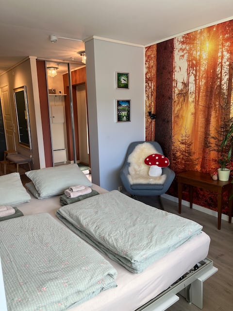 Studioleilighet i Rosendal sentrum