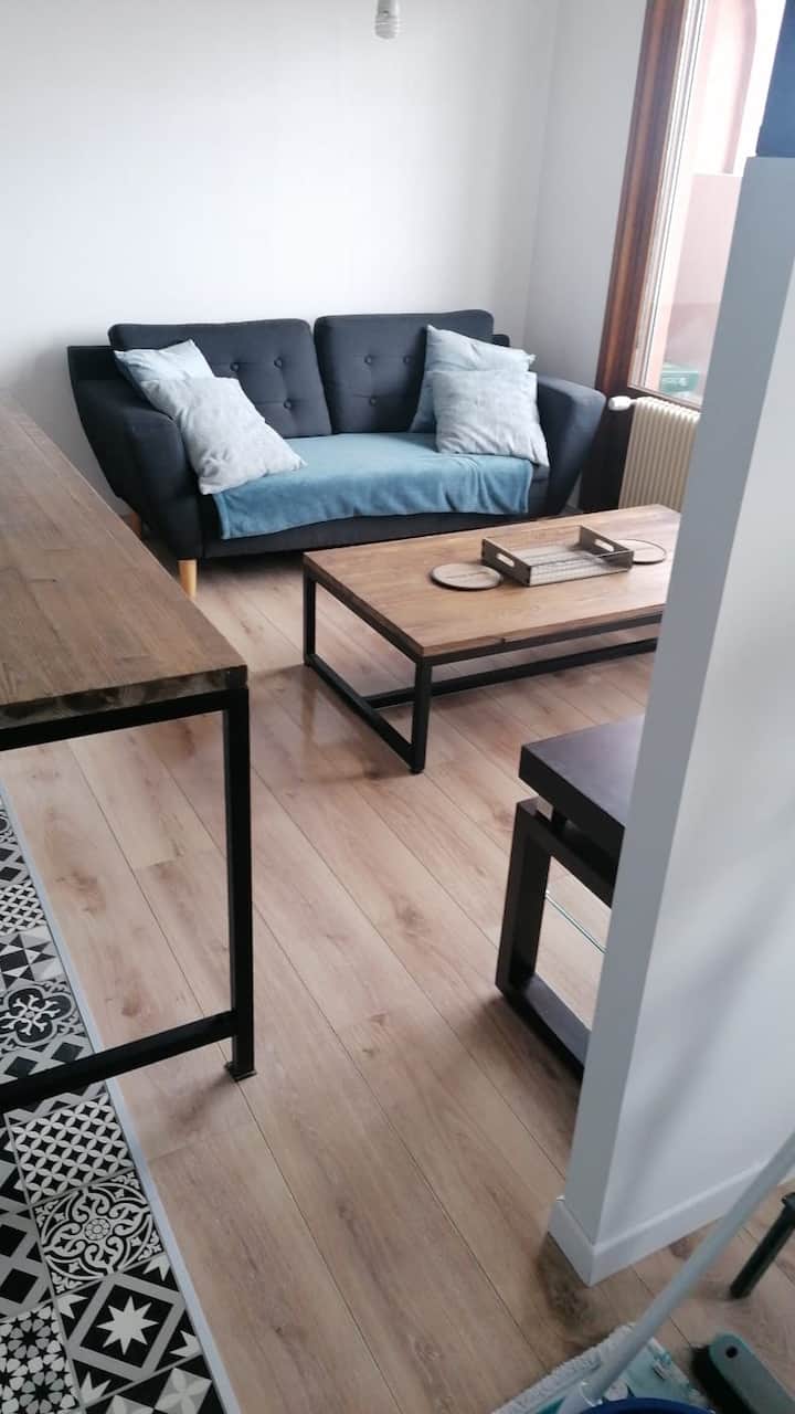 Appartement T1 Bis Meublé - ibis Thonon Centre