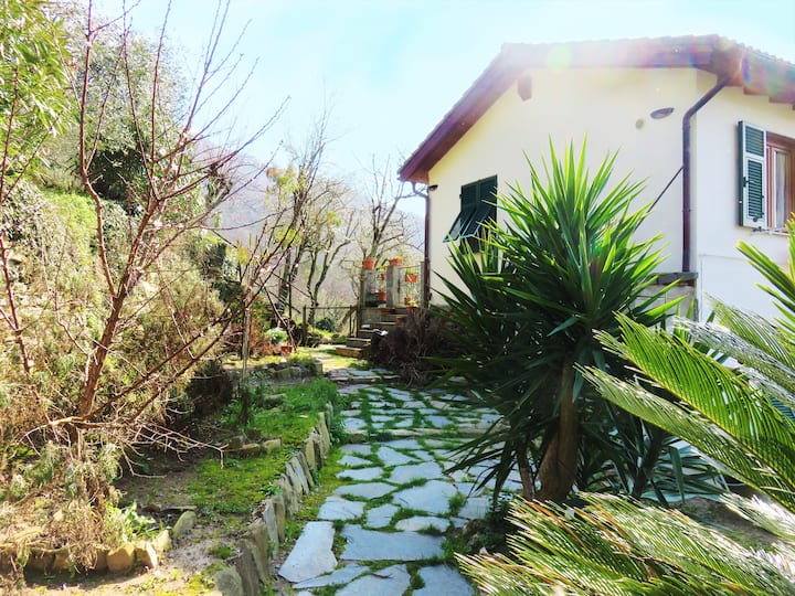Casa Di Arya Cod. Citra Lt-0043 - Recco