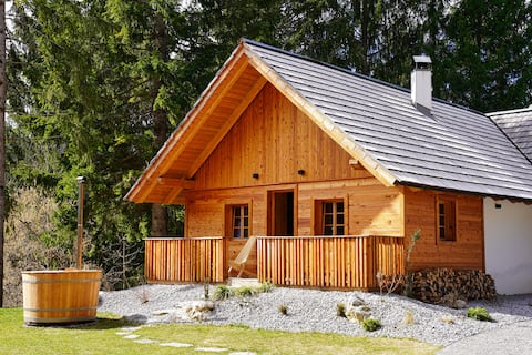 Alpine Retreat Šurc - app East