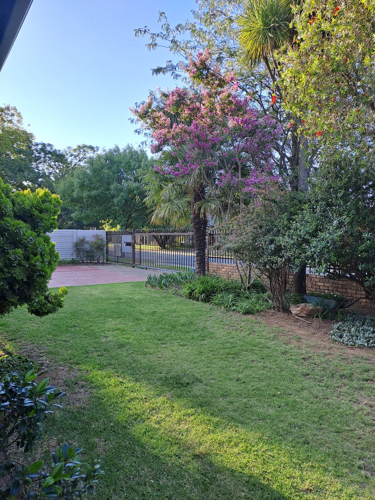 A manicured garden is displayed, featuring vibrant flowering trees and lush greenery. A smooth pathway is visible, leading to a fenced area. Soft sunlight illuminates the space, creating a peaceful atmosphere in this outdoor area.