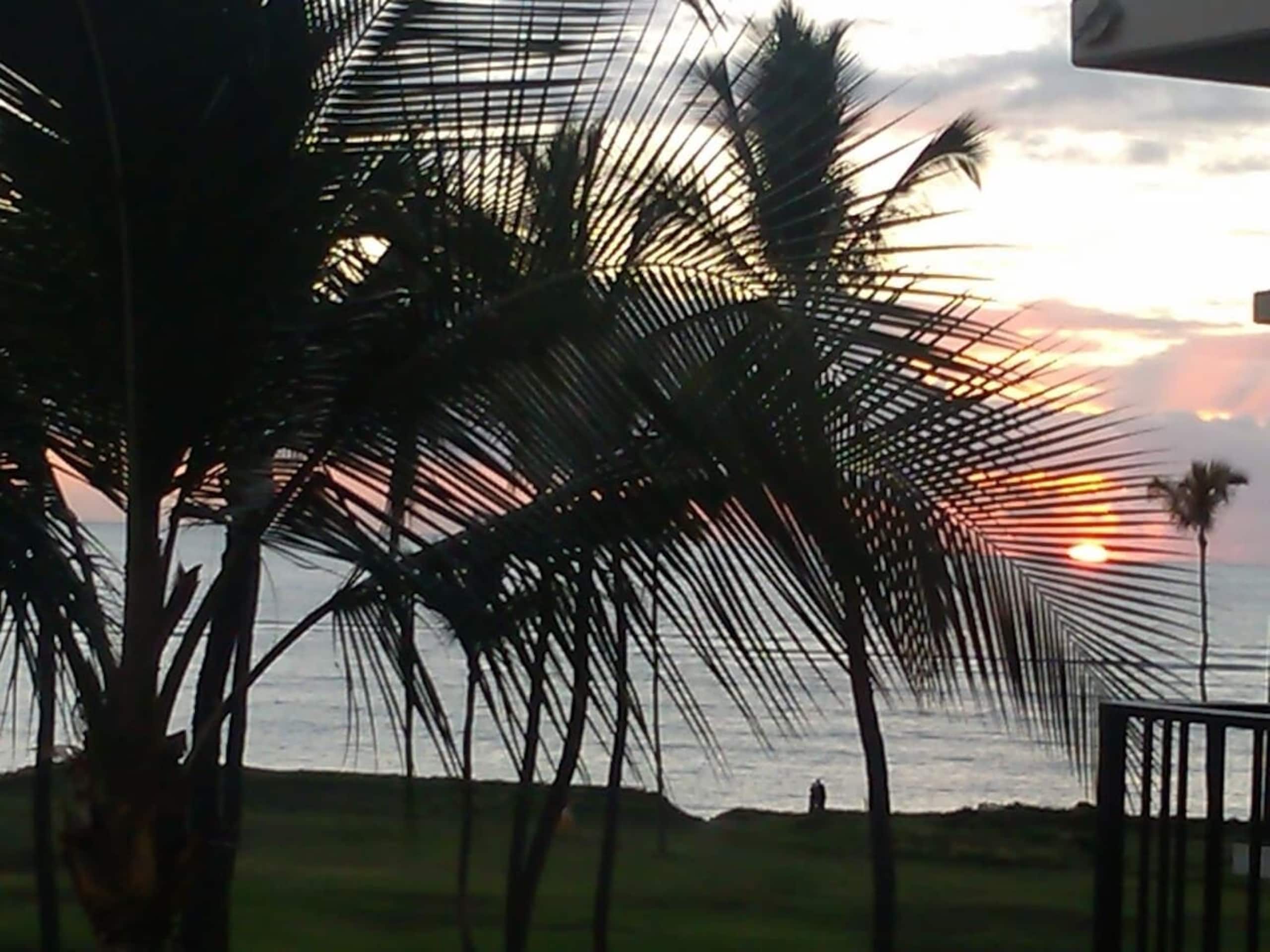 ELEGANTOcean+Sunset Retreat, A/C, Central, Parking - Image 15