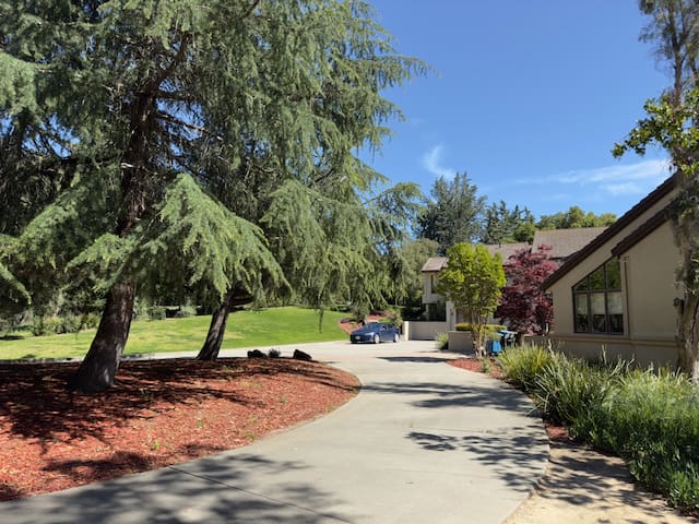 Grand View at Alum Rock gallery image 4