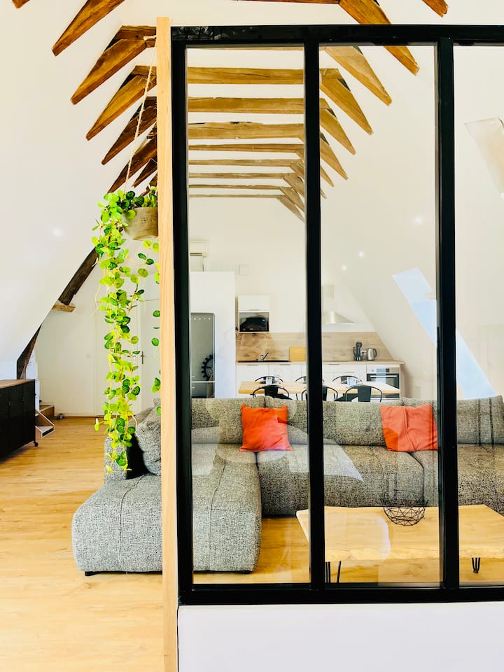 Loft Vue Loire, Climatisé, Spacieux, Hypercentre - Chenonceaux