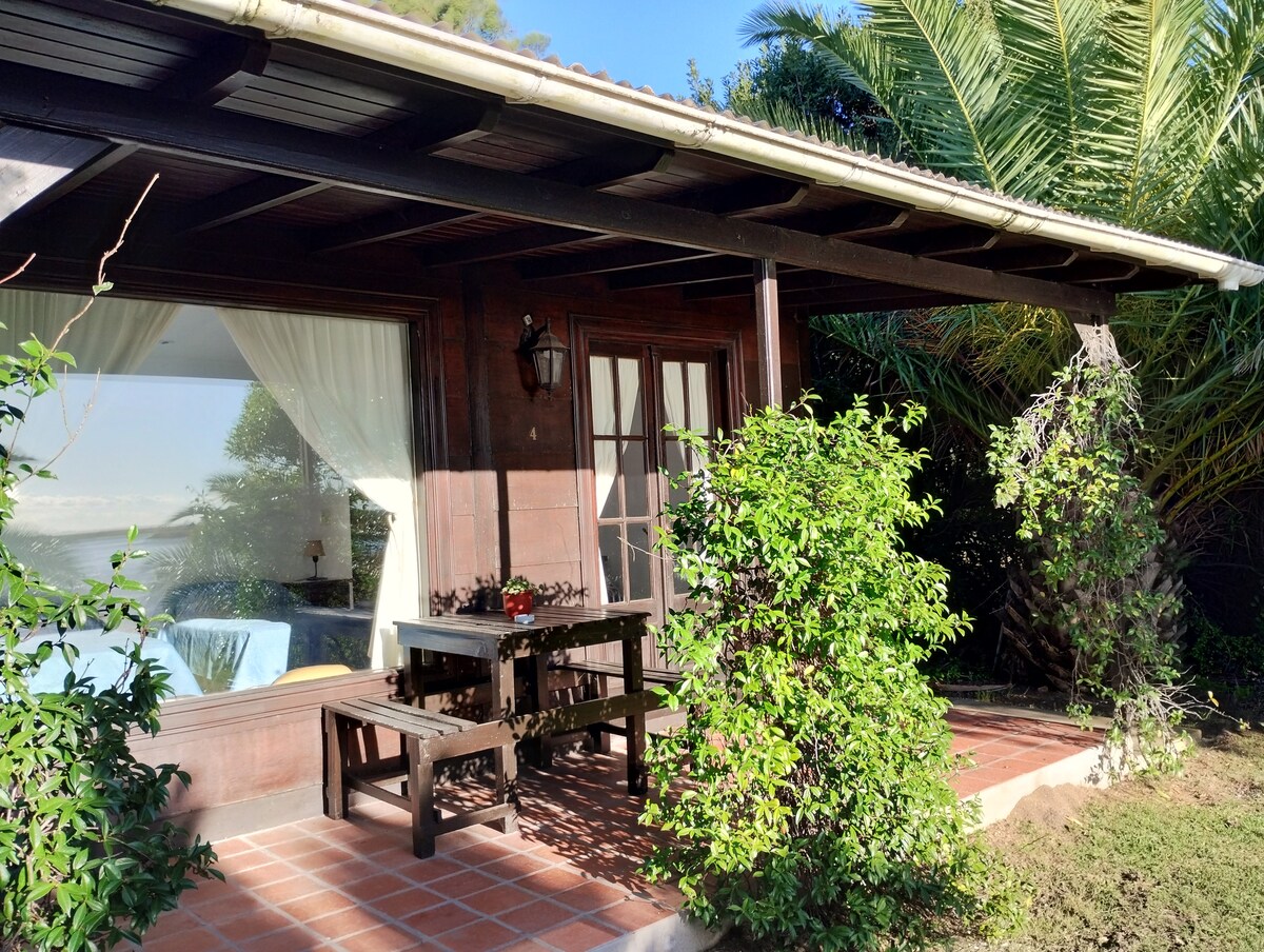 A cozy outdoor seating area is featured, with a wooden table and benches positioned under a sheltered patio. Lush greenery and tall palm trees surround the space, while large windows provide a glimpse into the inviting interior. Natural light filters through the plants, creating a serene setting.