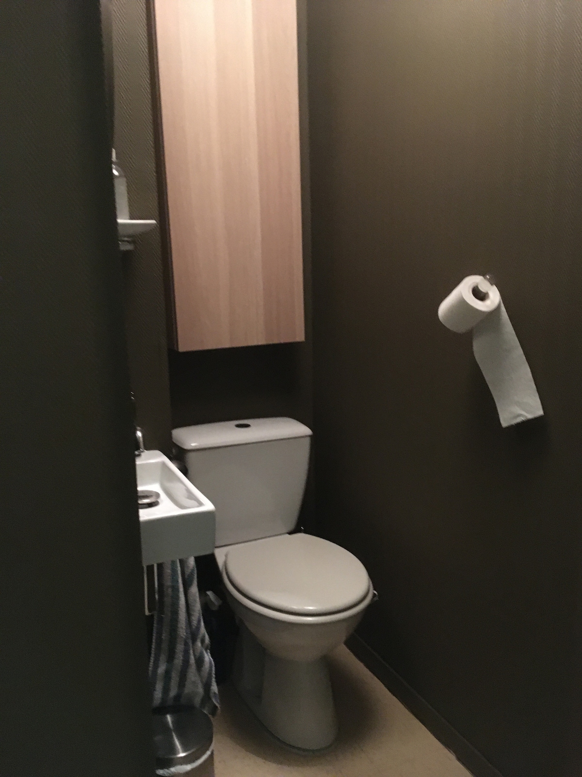 A compact bathroom is featured, containing a toilet, a small sink, and a shelf for toiletries. A roll of toilet paper is hung on the wall. The space is enclosed with dark brown walls, creating a simple and functional environment.