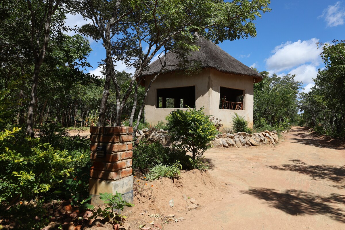 A rustic, round structure with a thatched roof is set amidst a natural landscape. The building features large windows that allow for ample light. A gravel path leads to the entrance, framed by native trees and shrubs that enhance the serene environment.