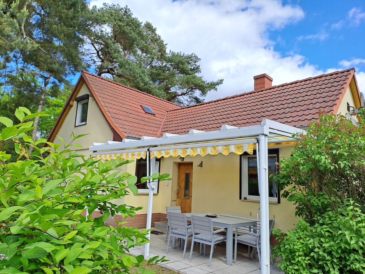 A charming house with a sloped roof is surrounded by greenery and mature pine trees. The covered outdoor seating area features a dining table and chairs on a tiled patio, providing a serene space for relaxation and meals al fresco. Light clouds drift in a bright blue sky.