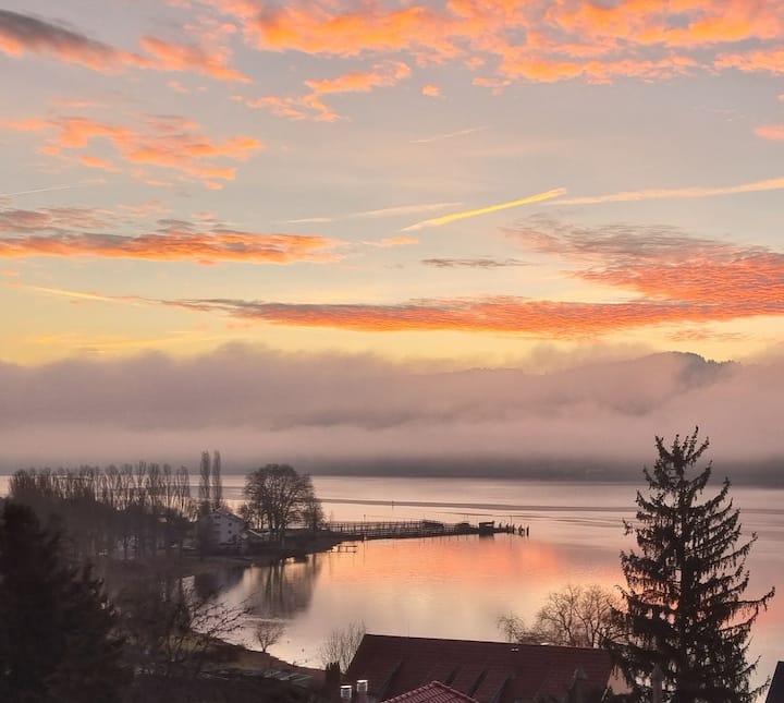 Прикажи во зима 