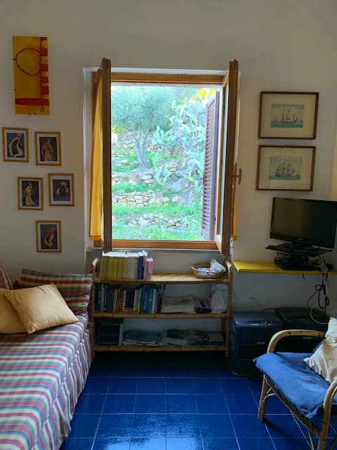 Large Apartment with garden