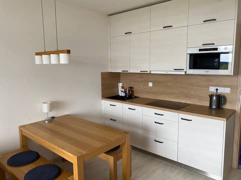 Top performing Airbnb: Apartment 28 in Zadov with views of nature in Vimperk