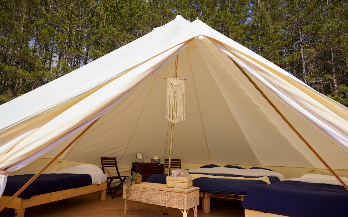 An open tent interior features three spacious beds, each neatly arranged with dark bedding. A wooden table with two chairs is positioned nearby. Natural light filters in through the tent opening, illuminating the simple decor and surrounding forest backdrop.