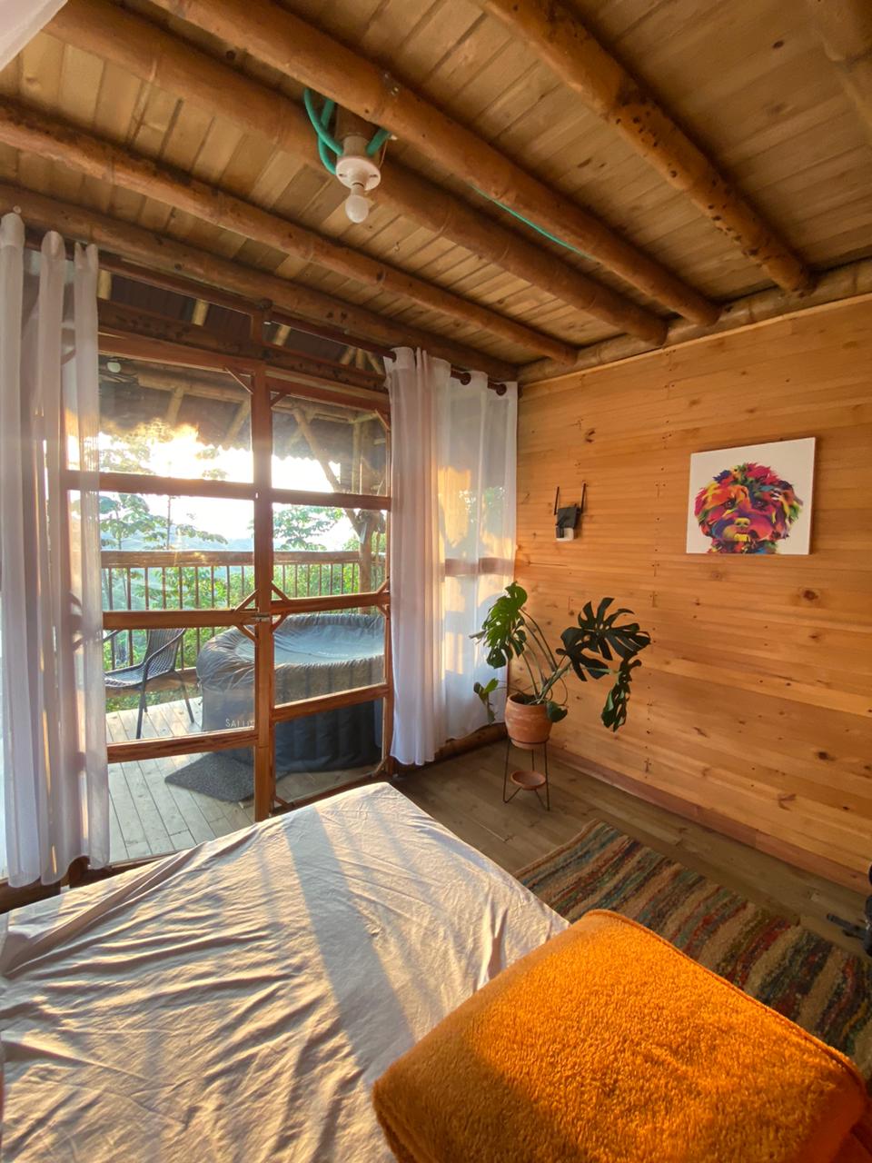 A warm wooden interior features large glass doors that open to a balcony, allowing natural light to flood the space. A comfortable bed is complemented by an orange throw pillow, while a potted plant adds a touch of greenery. Sheer curtains frame the view of nature.