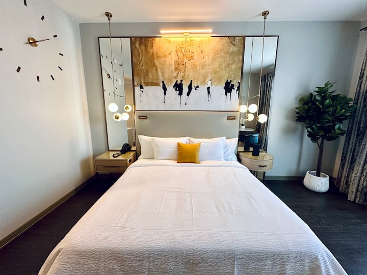 Chez Hotel King Room - Barrington, IL