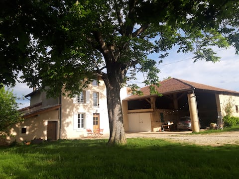 Old renovated farm in the countryside
