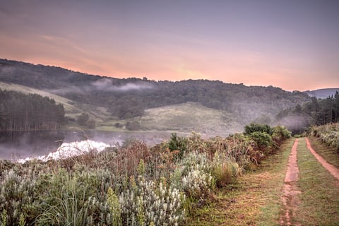 Pavetta Forest House