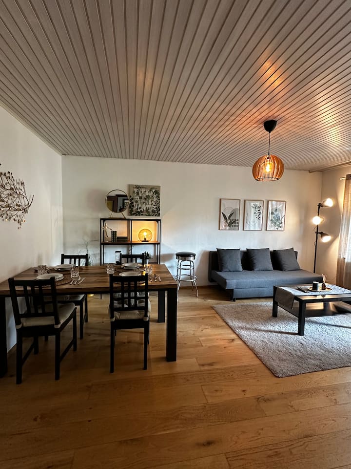 Gemütliche Wohnung Karlsruhe - Karlsruhe