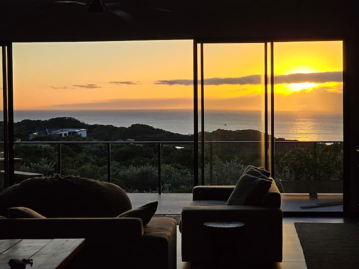 Seagull's View