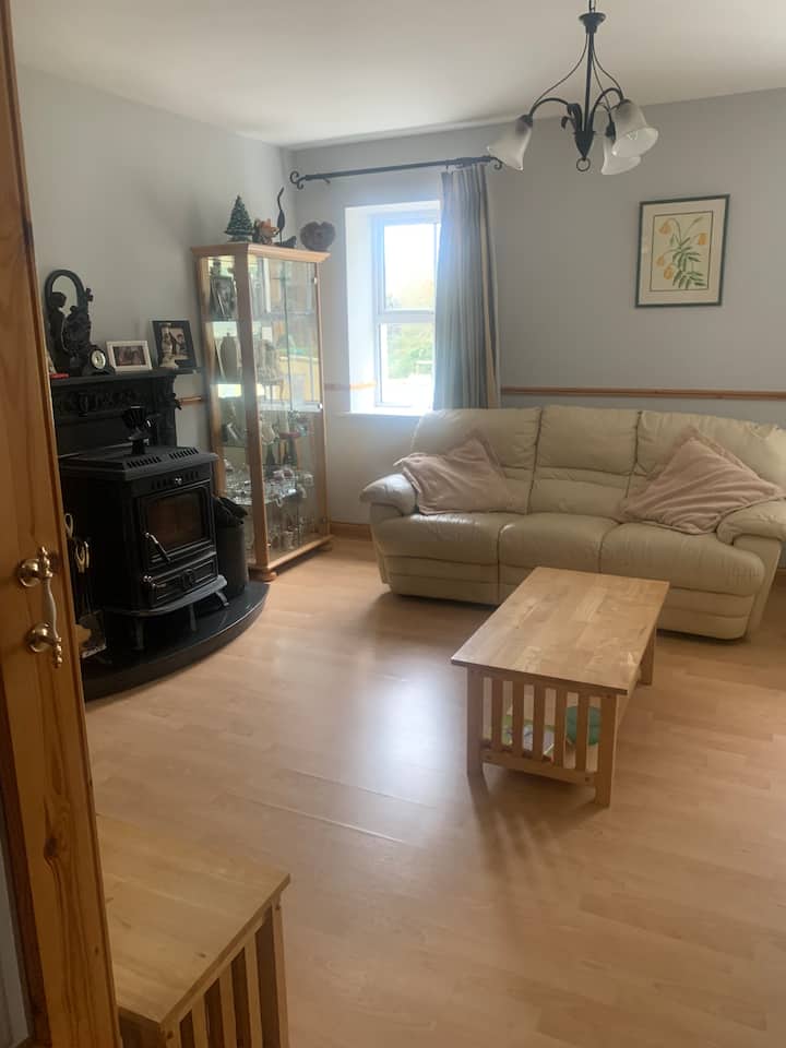 Two-storey House In Countryside - Roscommon