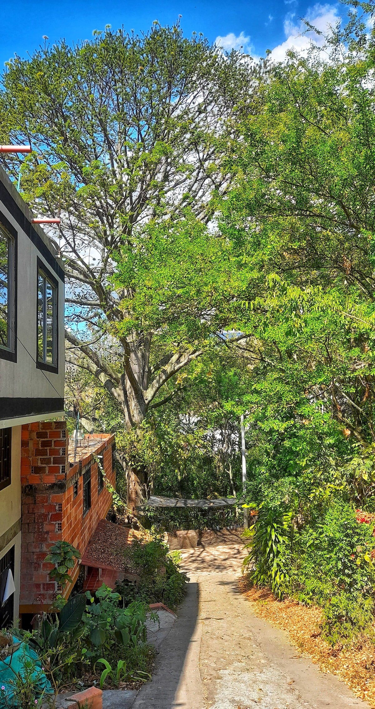 A narrow pathway is framed by lush greenery, leading towards a serene outdoor space. The sloped terrain is lined with various plants and trees, providing a natural atmosphere. A two-story building is visible to the left, set against a clear blue sky.