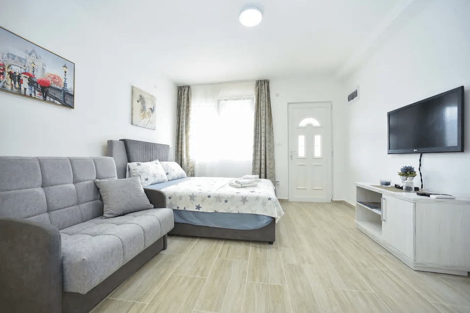 A well-lit studio space is furnished with a gray sofa and a spacious bed adorned with a star-patterned cover. Natural light enters through a window, enhancing the room's airy feel. A television is mounted on the wall, and a small table holds a decorative plant.
