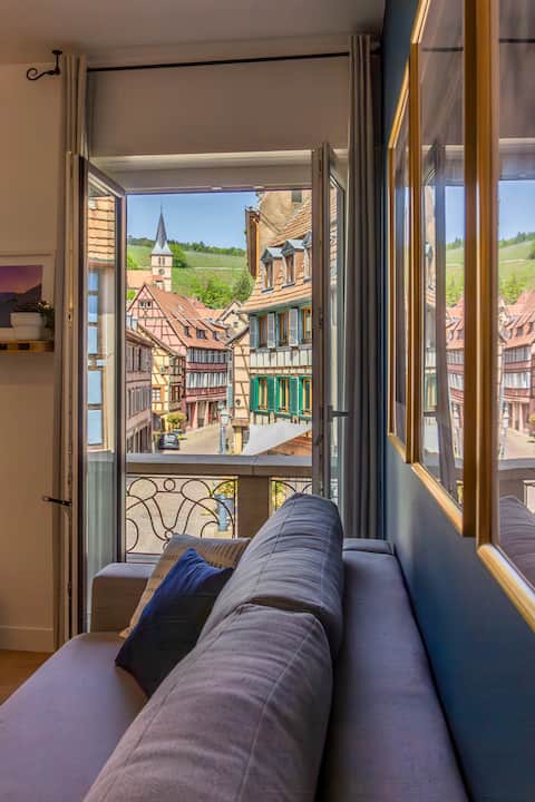 Top Airbnb: Accommodation with vineyard views in Bas Rhin