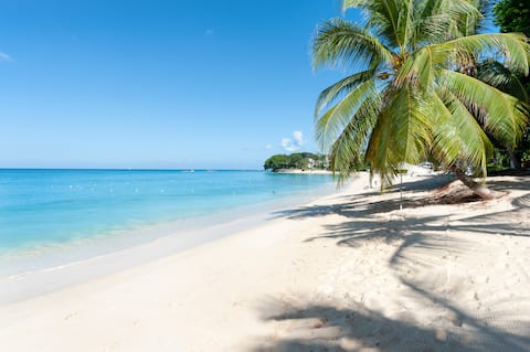 Paynes Bay Beachfront Villa