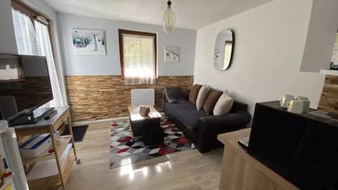 Top performing Airbnb: F2 apartment with mountain view in Lélex