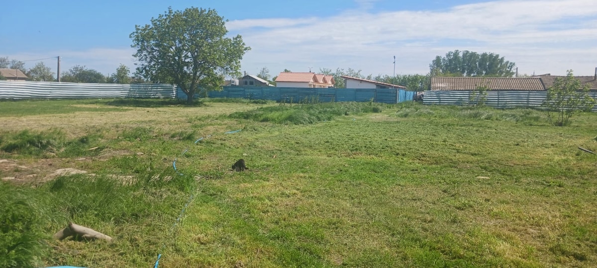 A spacious backyard garden is shown, offering a grassy area with patches of sunlight. A tree stands prominently to one side, surrounded by a boundary of tall fencing. Nearby structures are visible in the distance, providing a sense of a peaceful outdoor setting.