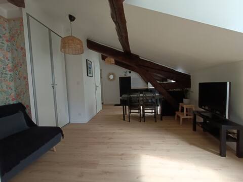 Successful Airbnb property: Under the Roofs in Grenoble