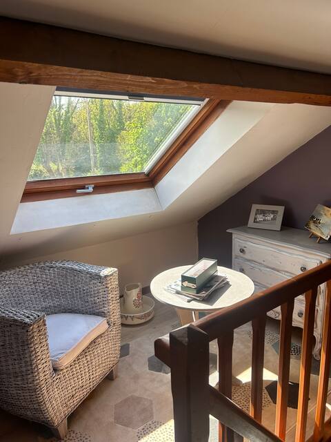 Successful Airbnb property: Le Petit-Saint-Briçois in Seine Et Marne