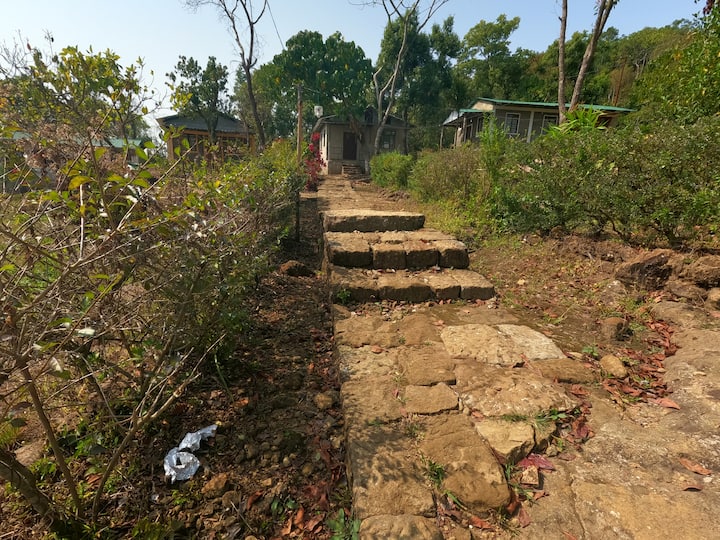 Forest Stay Near Cherrapunji. - Cherrapunji