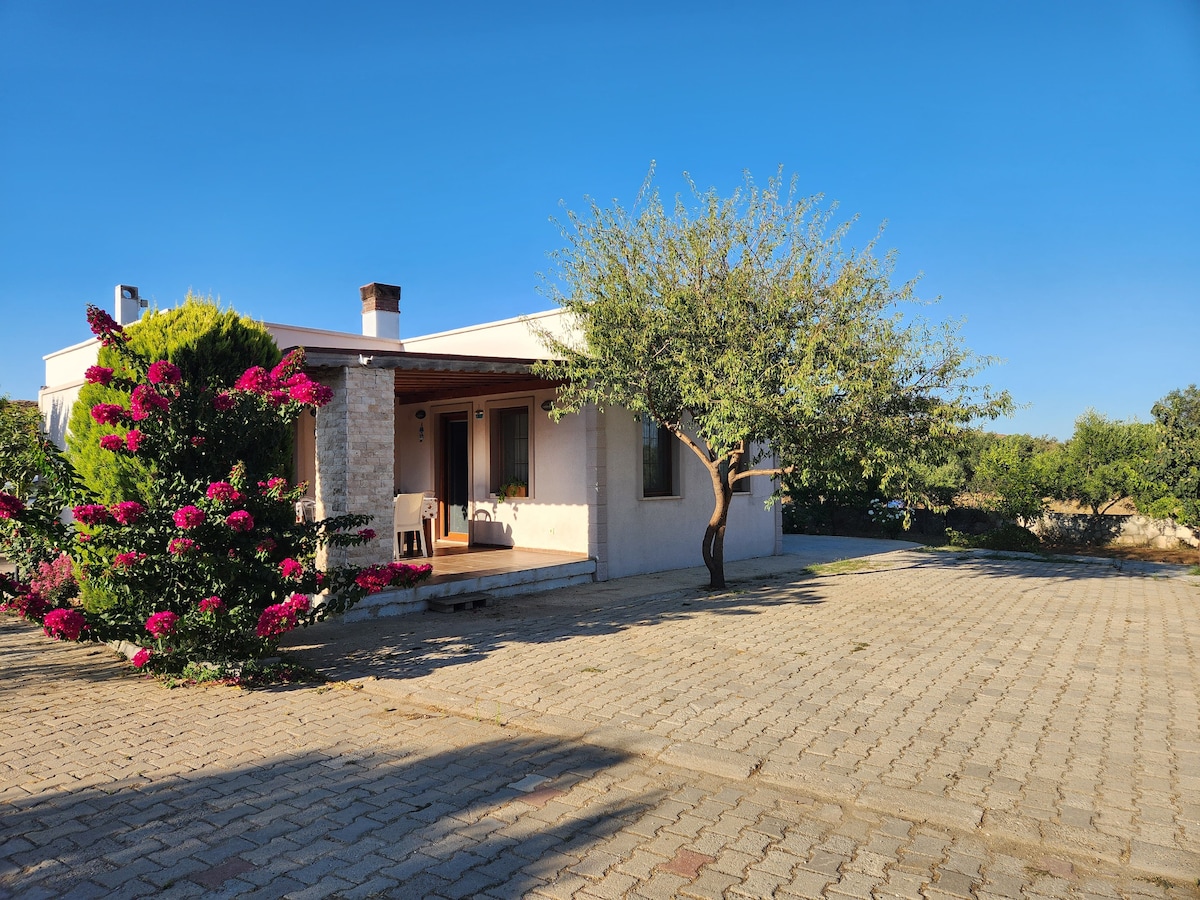 A single-story home is displayed, featuring a covered porch with seating. Lush greenery and flowering plants enhance the exterior, while a paved pathway leads to the entrance. A clear blue sky complements the tranquil setting, suggesting a calm atmosphere.